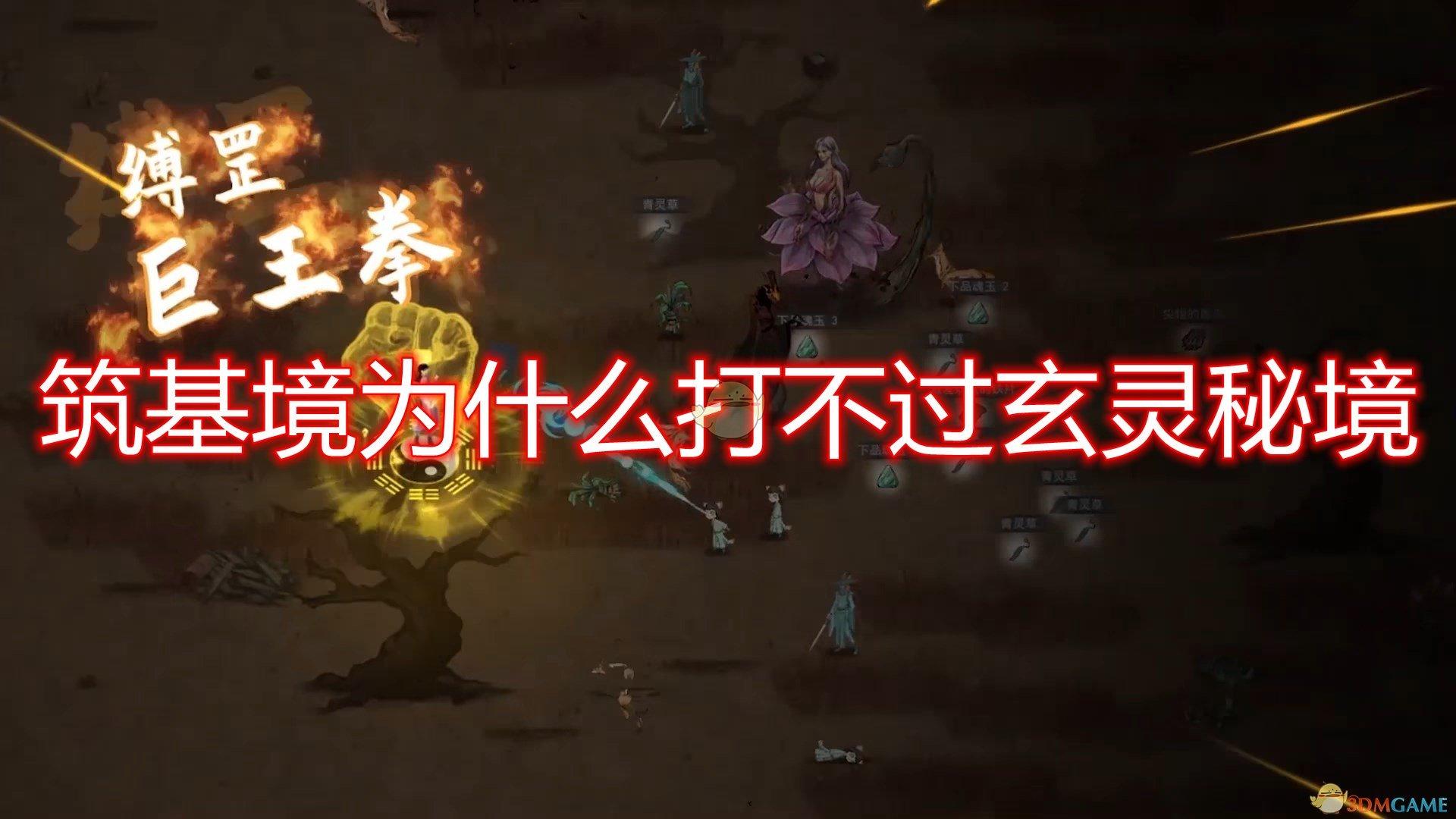 蓝狐视频