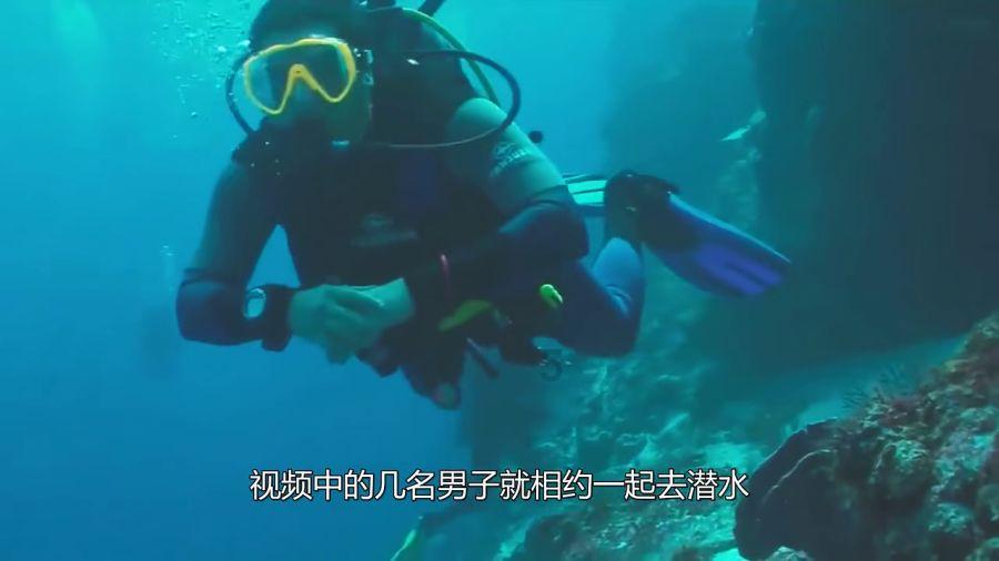 探讨天涯热点话题,尽在原石玉石鉴定,求大神鉴定一下